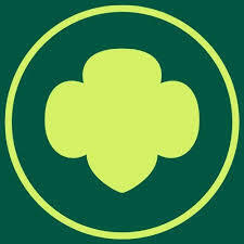 Team Page: Troop 54206